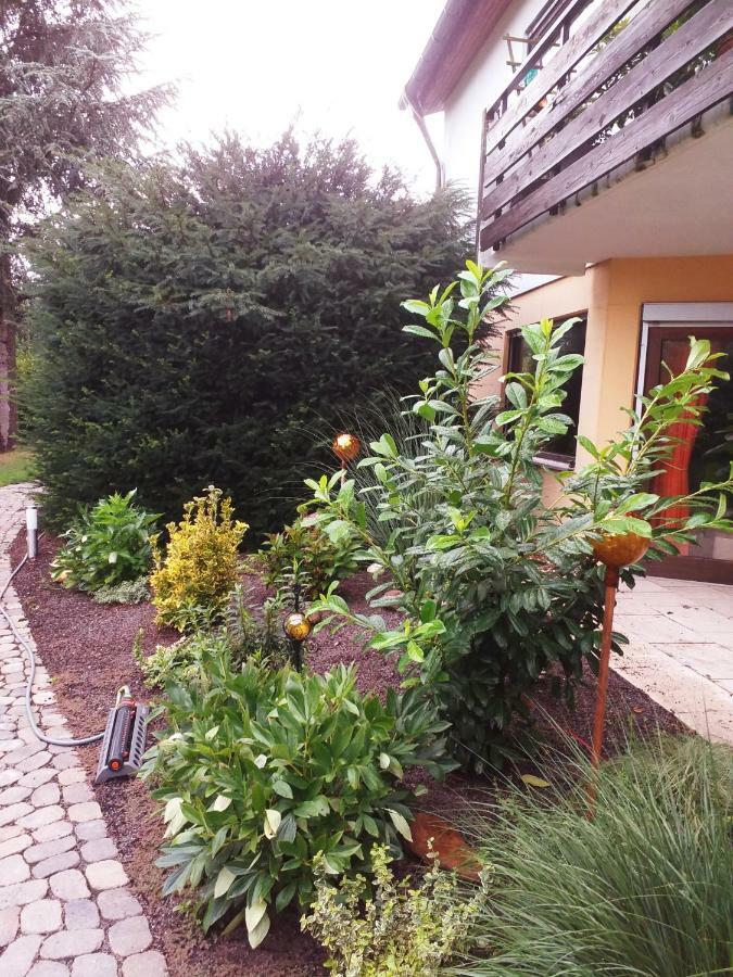 Ferienwohnung Im Rottal Oberrot Eksteriør billede